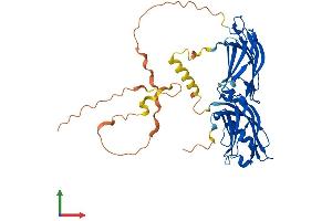 Protein Structure (PS) image for Double C2-Like Domains, alpha (DOC2A) (AA 1-405) protein (His tag) (ABIN7558231)