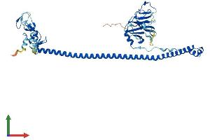 Protein Structure (PS) image for Tripartite Motif Containing 11 (TRIM11) (AA 1-467) protein (His tag) (ABIN7564926)