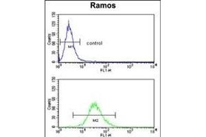 Flow Cytometry (FACS) image for anti-Complement Component (3d/Epstein Barr Virus) Receptor 2 (CR2) (AA 986-1014), (C-Term) antibody (ABIN390953)