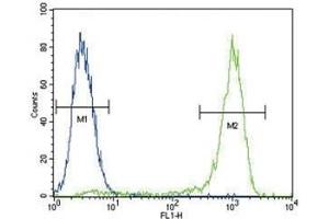 AKT antibody flow cytometric analysis of MCF-7 cells (right histogram) compared to a negative control (left histogram). (AKT1 Antikörper  (AA 428-457))