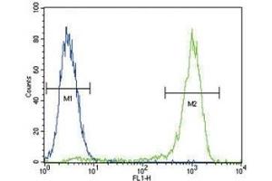 AKT antibody flow cytometric analysis of MCF-7 cells (right histogram) compared to a negative control (left histogram).