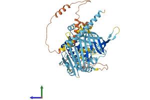 AlphaFold protein structure predicition of Human Recombinant ANKRD13A Protein, UniprotID Q8IZ07