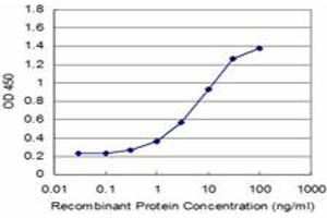 Detection limit for recombinant GST tagged ZFP161 is approximately 0. (ZBTB14/ZFP161 Antikörper  (AA 311-420))