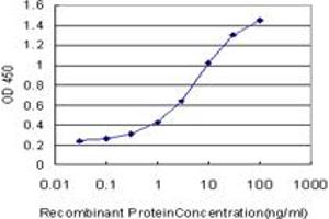 Detection limit for recombinant GST tagged TLN1 is approximately 0. (TLN1 Antikörper  (AA 1052-1149))