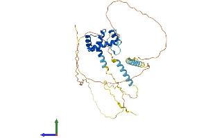 Protein Structure (PS) image for Mohawk Homeobox (MKX) (AA 1-353) protein (His tag) (ABIN7558672)