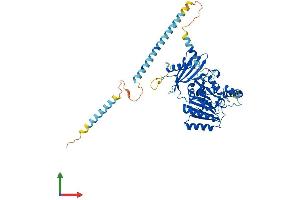 AlphaFold protein structure predicition of Human Recombinant CSGALNACT2 Protein, UniprotID Q8N6G5