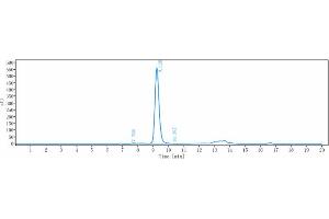 anti-SLAMF7 (Elotuzumab Biosimilar) antibody