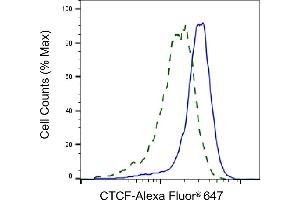 Validation of CTCF knockdown using flow cytometry. (Rekombinanter CTCF Antikörper)