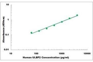 Representative Standard Curve (ULBP2 ELISA Kit)
