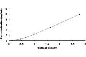 Typical standard curve (NEIL3 ELISA Kit)