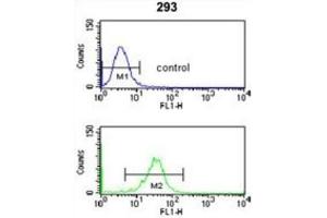 Flow Cytometry (FACS) image for anti-Nucleoporin 153kDa (NUP153) antibody (ABIN3004036) (NUP153 Antikörper)