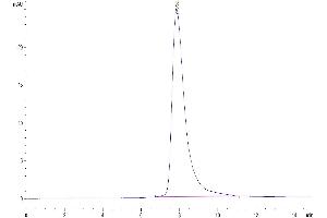 The purity of Human BTN1A1 is greater than 95 % as determined by SEC-HPLC.
