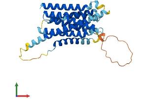 AlphaFold protein structure predicition of Human Recombinant SLC39A2 Protein, UniprotID Q9NP94 (ZIP2 Protein (AA 1-309) (His tag))