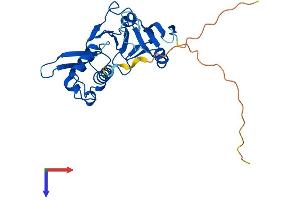 TRPT1 Protein (AA 1-253) (His tag)