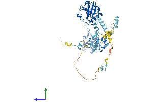 Protein Structure (PS) image for Peptidylprolyl Isomerase (Cyclophilin)-Like 2 (PPIL2) (AA 1-521) protein (His tag) (ABIN7561073)