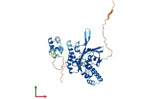 Protein Structure (PS) image for DNA Repair Protein RAD51 Homolog 3 (RAD51C) (AA 1-376) protein (His tag) (ABIN7555107)