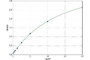 A typical standard curve