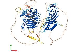Protein Structure (PS) image for HIR Histone Cell Cycle Regulation Defective Homolog A (HIRA) (AA 1-1015) protein (His tag) (ABIN7563928)