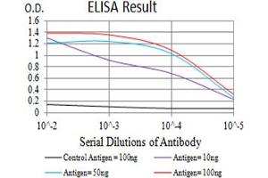 Black line: Control Antigen (100 ng),Purple line: Antigen (10 ng), Blue line: Antigen (50 ng), Red line:Antigen (100 ng) (Serotonin Receptor 3A Antikörper  (AA 24-157))