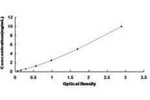Cyclin-Dependent Kinase 6 (CDK6) ELISA Kit