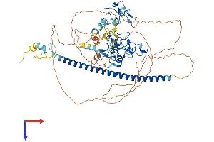 UNKL Protein (AA 1-680) (His tag)