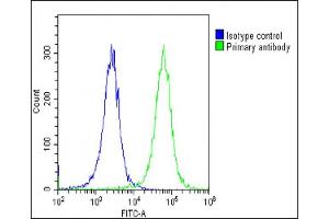 Overlay histogram showing Hela cells stained with (ABIN6242834 and ABIN6578871)(green line). (COL14A1 Antikörper  (AA 643-677))