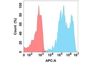 Flow cytometry analysis with Anti-TIGIT (DM178) on Expi293 cells transfected with human TIGIT (Blue histogram) or Expi293 transfected with irrelevant protein (Red histogram). (TIGIT Antikörper  (AA 22-141))