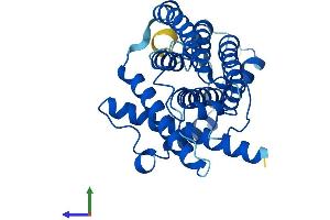 Protein Structure (PS) image for Mitochondrially Encoded NADH Dehydrogenase 1 (MT-ND1) (AA 1-318) protein (His tag) (ABIN7549942)