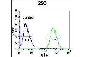 GPC6 Antibody (C-term) (ABIN655620 and ABIN2845100) flow cytometric analysis of 293 cells (right histogram) compared to a negative control cell (left histogram). (Glypican 6 Antikörper  (C-Term))