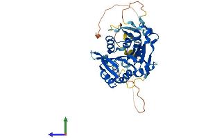 AlphaFold protein structure predicition of Human Recombinant METTL18 Protein, UniprotID O95568