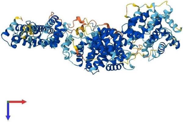 MED24 Protein (AA 1-987) (His tag)