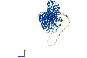 Protein Structure (PS) image for Kelch-Like 24 (KLHL24) (AA 1-600) protein (His tag) (ABIN7558836)