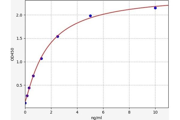 ADCYAP1R1 ELISA Kit