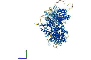 AlphaFold protein structure predicition of Human Recombinant SLFN14 Protein, UniprotID P0C7P3