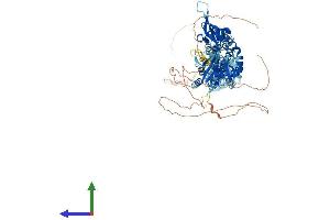 Protein Structure (PS) image for Cyclin M2 (CNNM2) (AA 1-875) protein (His tag) (ABIN7563679)