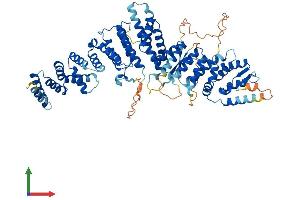 Protein Structure (PS) image for Integrator Complex Subunit 10 (INTS10) (AA 1-710) protein (His tag) (ABIN7559497)