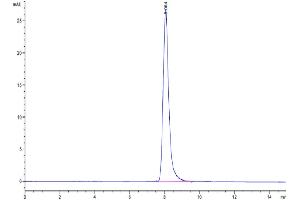 Size-exclusion chromatography-High Pressure Liquid Chromatography (SEC-HPLC) image for Receptor Tyrosine-Protein Kinase ErbB-3 (ERBB3) (AA 20-641) protein (His tag) (ABIN7274795)