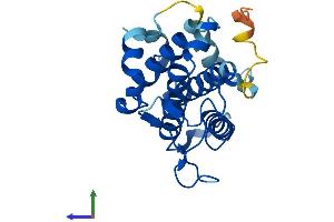 Protein Structure (PS) image for MOB1, Mps One Binder Kinase Activator-Like 2C (MOBKL2C) (AA 1-216) protein (His tag) (ABIN7558698)