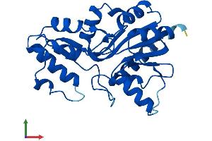 Protein Structure (PS) image for Phosphatase, Orphan 2 (PHOSPHO2) (AA 1-241) protein (His tag) (ABIN7561178)