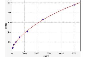 LIPF ELISA Kit