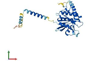AlphaFold protein structure predicition of Mouse Recombinant Srprb Protein, UniprotID P47758
