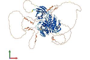 Protein Structure (PS) image for ATP/GTP Binding Protein-Like 5 (AGBL5) (AA 1-886) protein (His tag) (ABIN7552971)