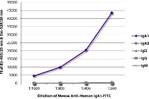 FLISA plate was coated with purified human IgA1, IgA2, IgD, IgG, and IgM. (Maus anti-Human IgA1 Antikörper (FITC))