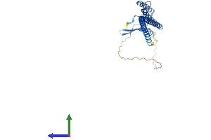 Protein Structure (PS) image for Dynein, Axonemal, Light Intermediate Chain 1 (DNALI1) (AA 1-258) protein (His tag) (ABIN7558938)