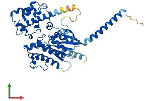 Protein Structure (PS) image for GNAS Complex Locus (GNAS) (AA 1-394) protein (His tag) (ABIN7548088)