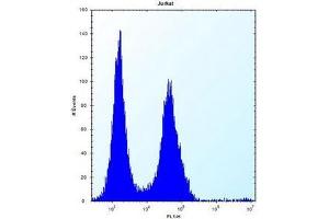 Flow Cytometry (FACS) image for anti-Mitogen-Activated Protein Kinase Kinase Kinase Kinase 2 (MAP4K2) (AA 320-349), (Middle Region) antibody (ABIN953300)