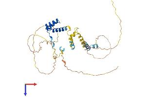 VSX2 Protein (AA 1-361) (His tag)
