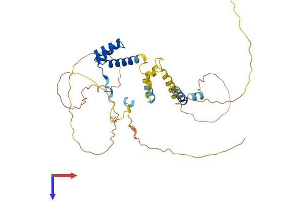 VSX2 Protein (AA 1-361) (His tag)