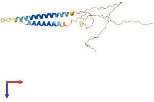 NRSN2 Protein (AA 1-202) (His tag)
