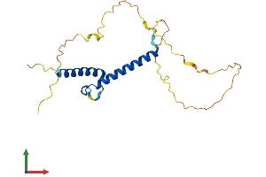 Protein Structure (PS) image for Mesogenin 1 (MSGN1) (AA 1-193) protein (His tag) (ABIN7549496)